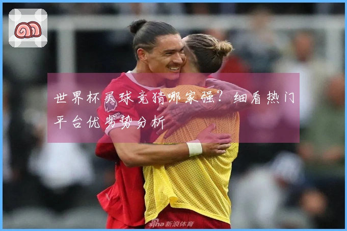 世界杯买球竞猜哪家强？细看热门平台优劣势分析