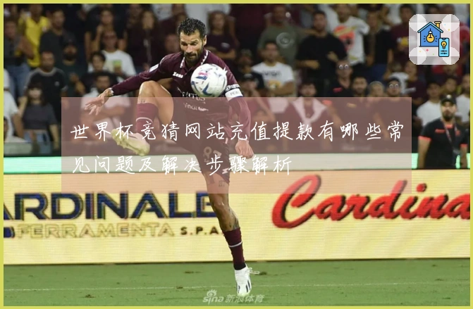世界杯竞猜网站充值提款有哪些常见问题及解决步骤解析
