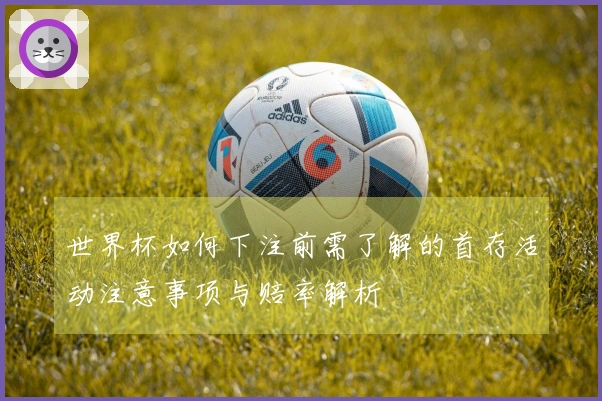 世界杯如何下注前需了解的首存活动注意事项与赔率解析