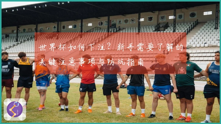 世界杯如何下注？新手需要了解的关键注意事项与防坑指南