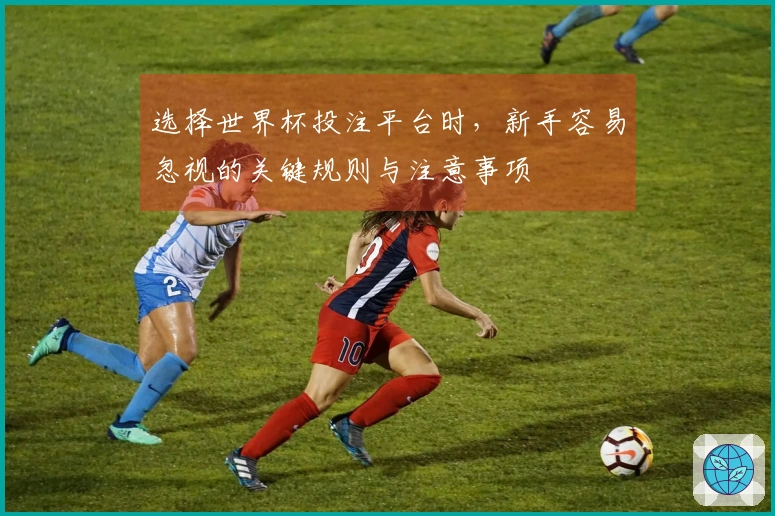 选择世界杯投注平台时，新手容易忽视的关键规则与注意事项