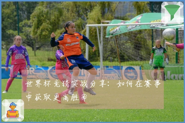 世界杯竞猜实战分享：如何在赛事中获取更高胜率